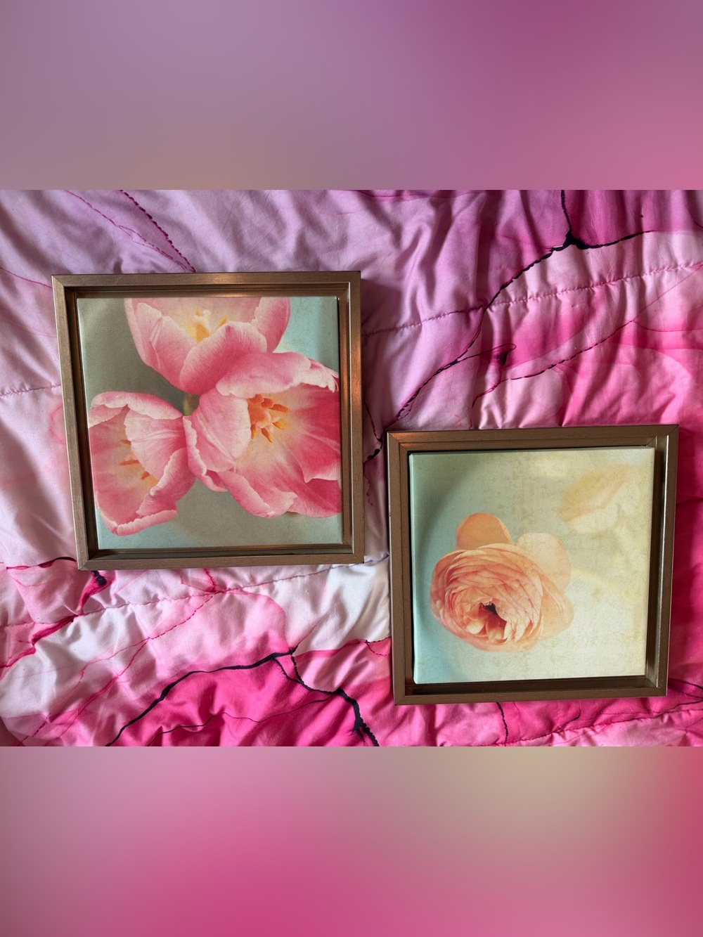 Framed Pink Floral Wall Art Pair